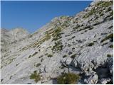 Planina Kuk - Zeleni vrh